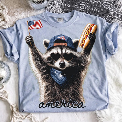 Patriotic Raccoon Transfer